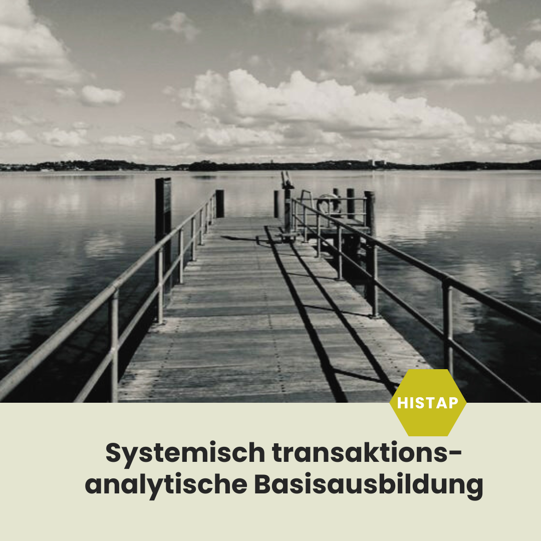 Systemisch transaktionsanalytische Basisausbildung 2025