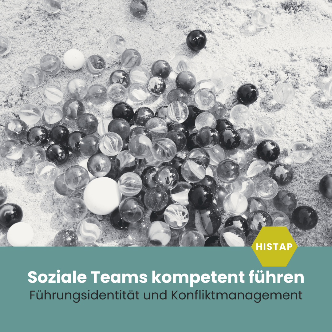 Soziale Teams kompetent führen – Führungsidentität und Konfliktmanagement