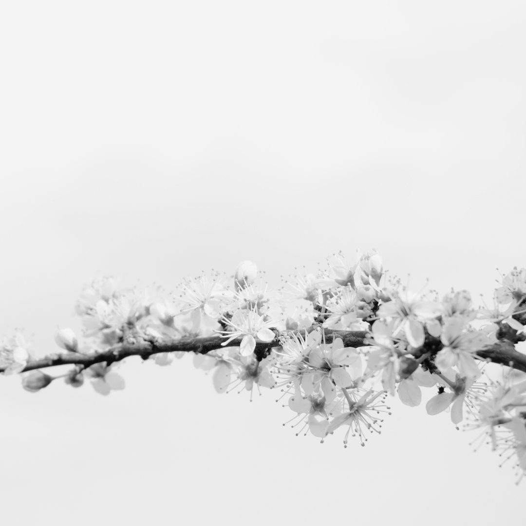 Neue Visuals (14)